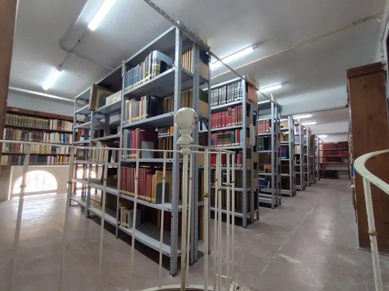 I depositi della biblioteca: file di scaffali metallici pieni di libri, visti dalla cima delle scale